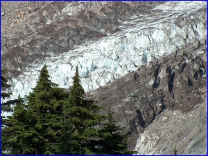 Glacier & Trees