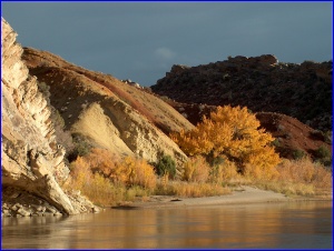 CO River Autumn