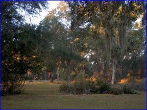 Florida dawn