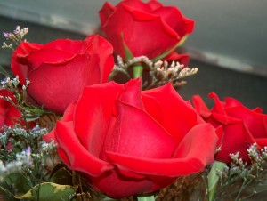 Rose bouquet