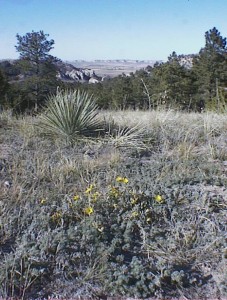 The Wildcat Hills of western Nebraska