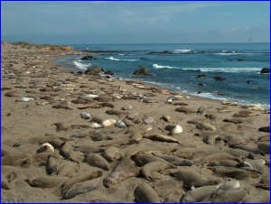 Piedras Blancas