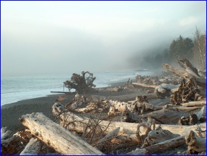 Rialto Beach