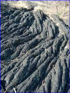 Pahoehoe