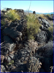 Valley of Fires Jumble