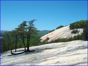 Stone Mountain