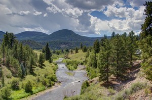 Highway Springs Camp