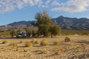 Kelso Dunes Camp