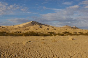 Kelso Dunes