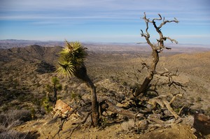 View from Panorama Loop Hike