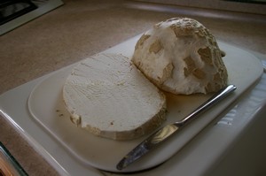 Giant Puffball Mushroom, Highway Springs Campground, Colorado
