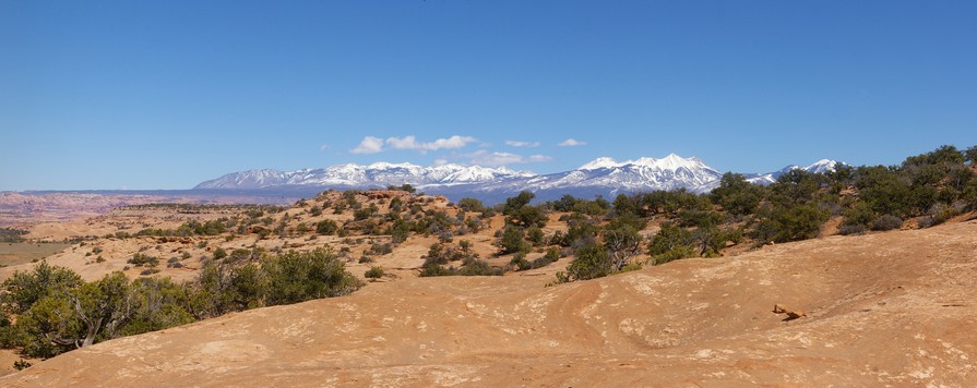 Along the Rock Ledge towards the La Sals