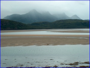 Ben Loyal
